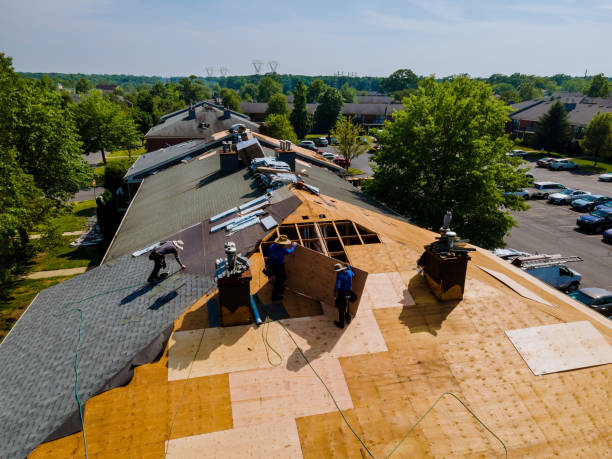 Best Roof Leak Repair  in Morgandale, OH